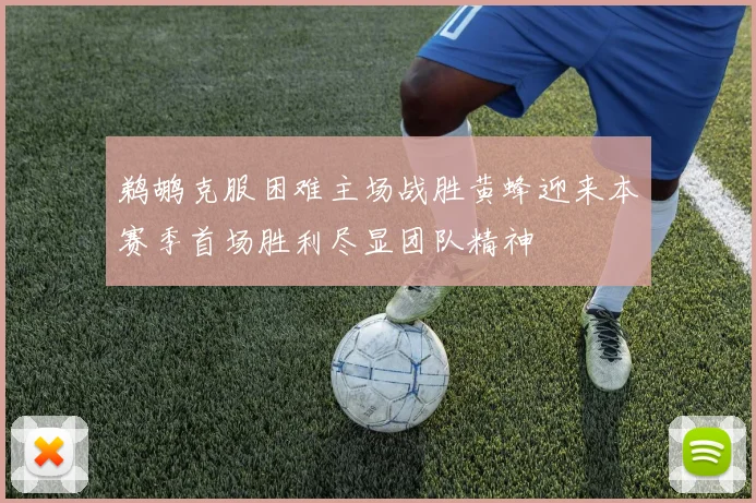鹈鹕克服困难主场战胜黄蜂迎来本赛季首场胜利尽显团队精神