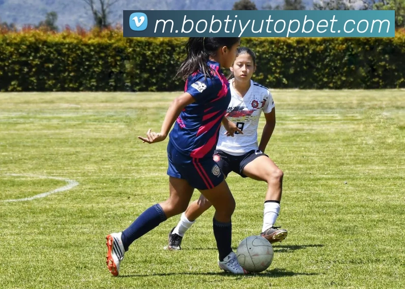 BOB体育APP 高清赛事图